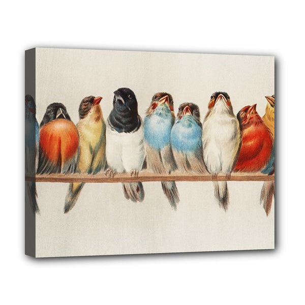 Song Birds Stretched Canvas Art Print 20 by 16 Inches