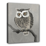Owl In Tree Stretched Canvas Wall Art Print 24 by 20 Inches