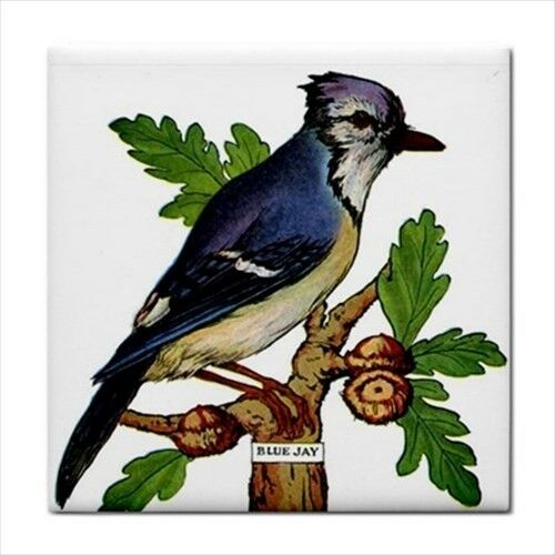 Blue Jay Bird Decorative Ceramic Tile 