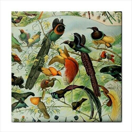 Exotic Birds Tropical Bird Vintage Art Ceramic Tile