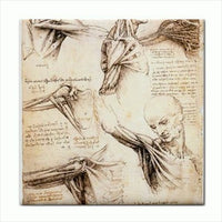Leonardo Da Vinci Anatomy Study Art Ceramic Tile