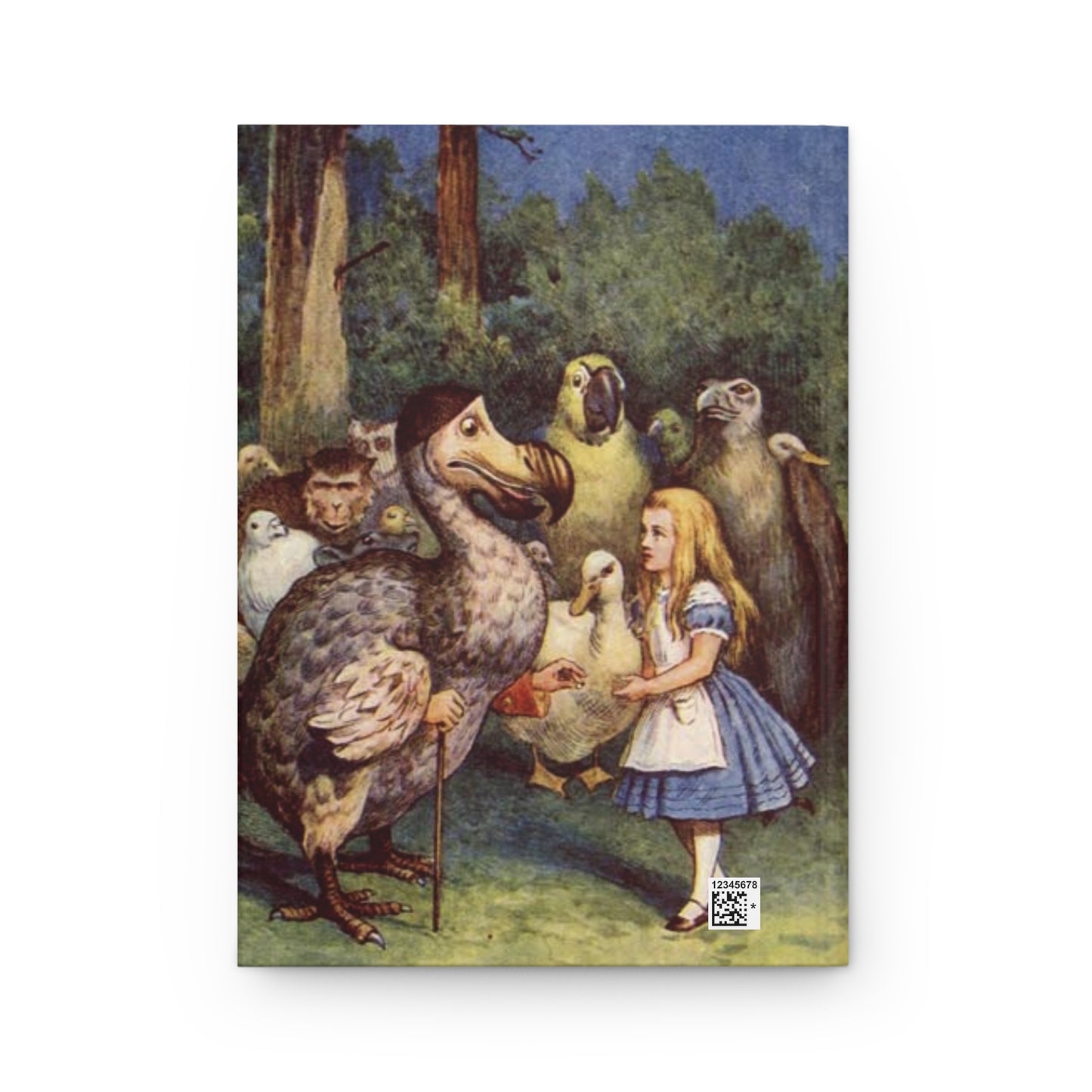 Alice Meets The Dodo Hardcover Journal Alice In Wonderland Art Paper products