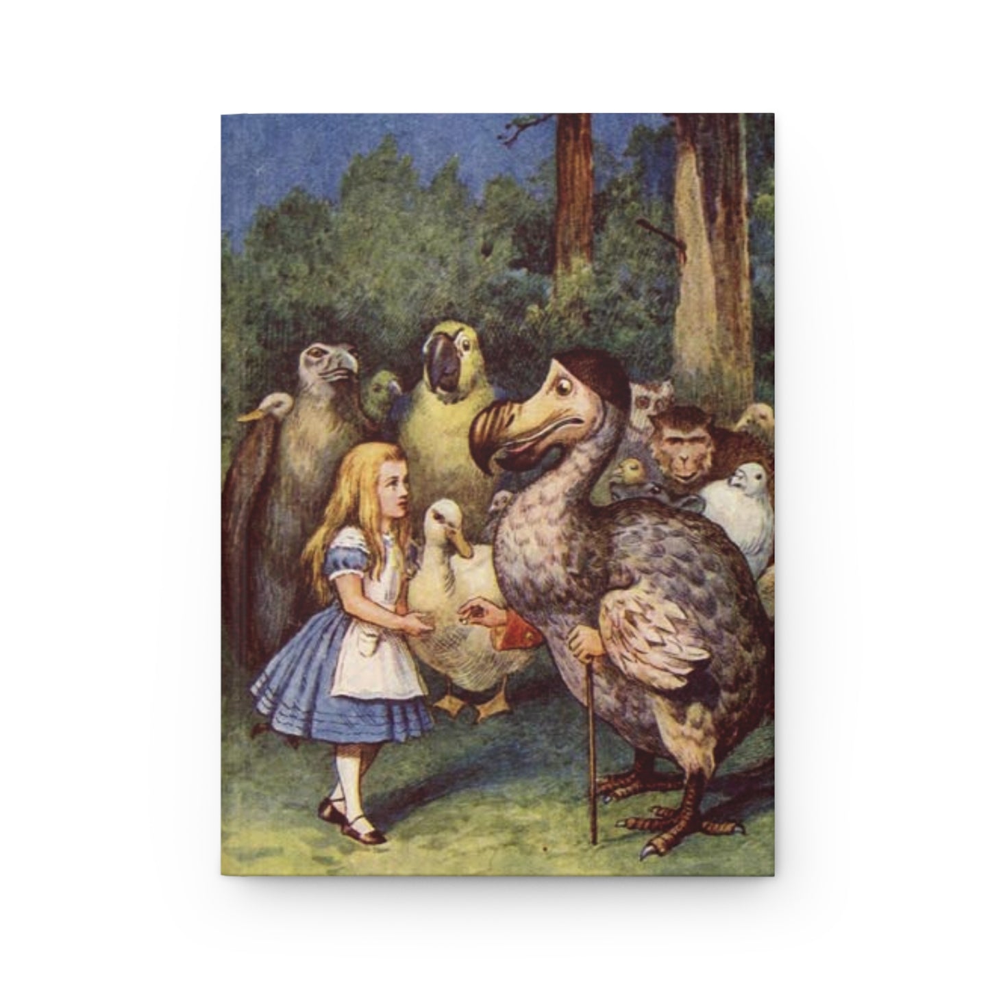 Alice Meets The Dodo Hardcover Journal Alice In Wonderland Art Paper products