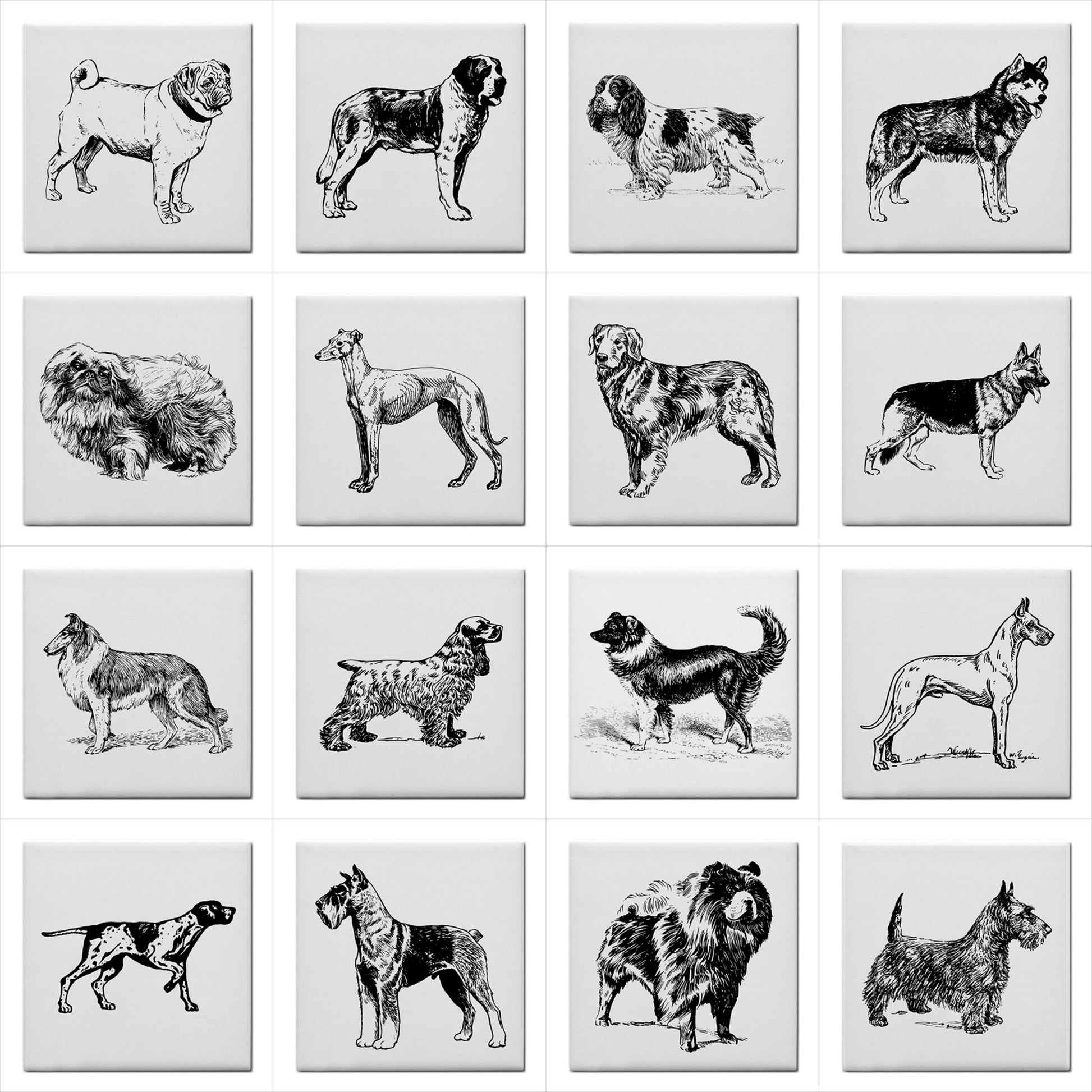 Dog Breeds Ceramic Tile Set Of 16 Backsplash 4.25" Tiles Animal Animal Art Animal Tile Art Backsplash Black And White Ceramic Ceramic Tile Ceramic Tile Set Dog Dog Breeds Home Decor Tile Ceramic Tile Set