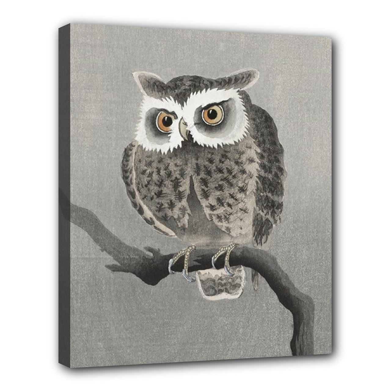 Owl In Tree Stretched Canvas Wall Art Print 24 by 20 Inches 20" by 24" Art Birds Canvas Home Decor Owl Print Stretched Canvas wall art Stretched Canvas 24" by 20"