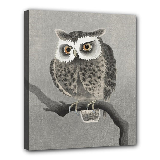 Owl In Tree Stretched Canvas Wall Art Print 24 by 20 Inches 20" by 24" Art Birds Canvas Home Decor Owl Print Stretched Canvas wall art Stretched Canvas 24" by 20"