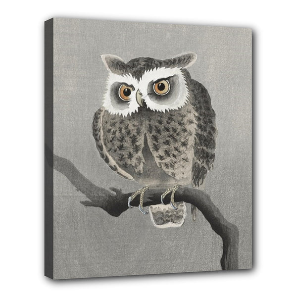Owl In Tree Stretched Canvas Wall Art Print 24 by 20 Inches