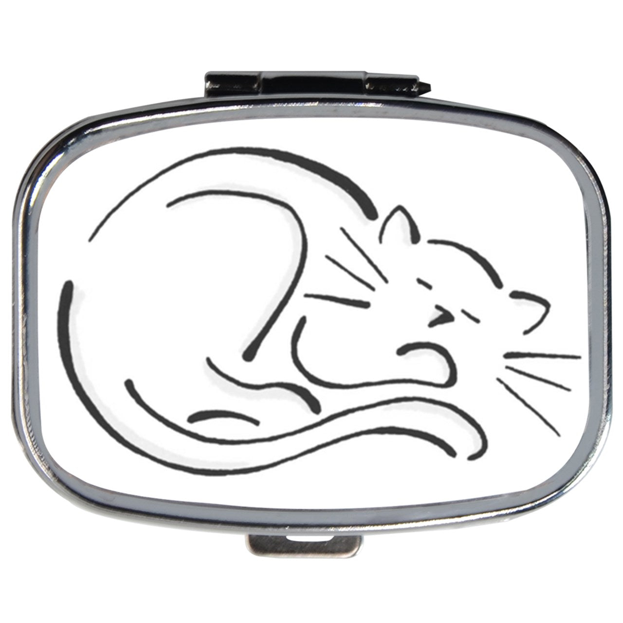 Sleeping Cat Travel Pill Box Medication Vitamin Case Case Cat Kitty Medication Case Pill Box Travel Pillboxes