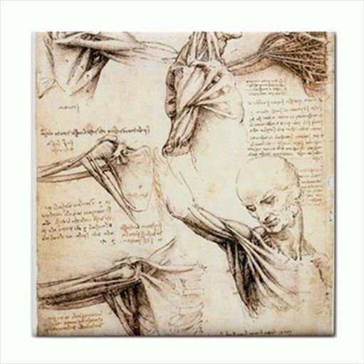 Leonardo Da Vinci Anatomy Study Art Ceramic Tile Ceramic Tile